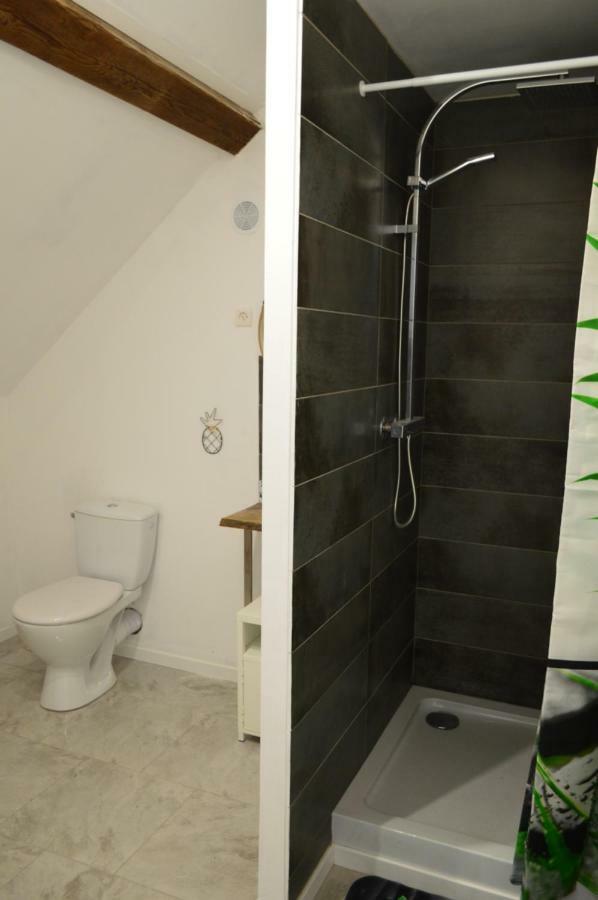 Bed and Breakfast Les Colombines Hombleux Екстер'єр фото